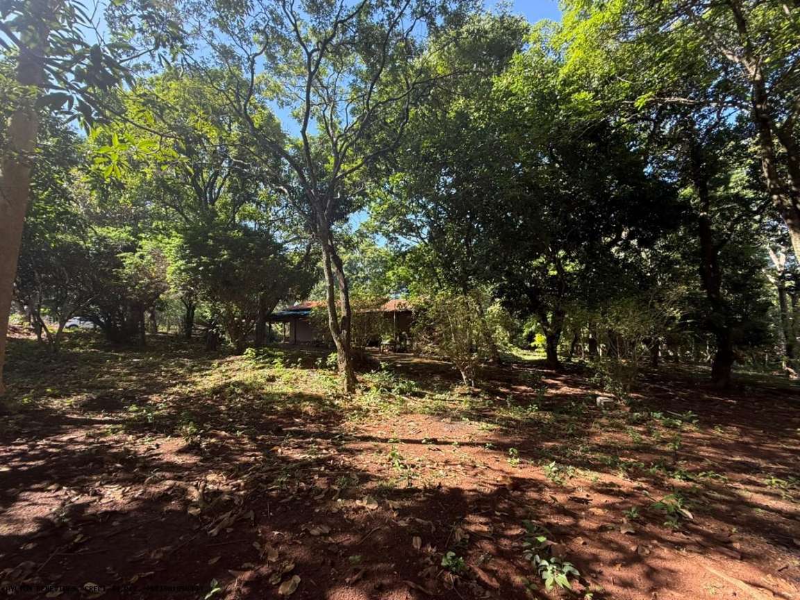 Chácara, 5 hectares - Foto 3