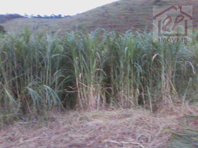 Fazenda à venda com 2 quartos, 411400M2 - Foto 4