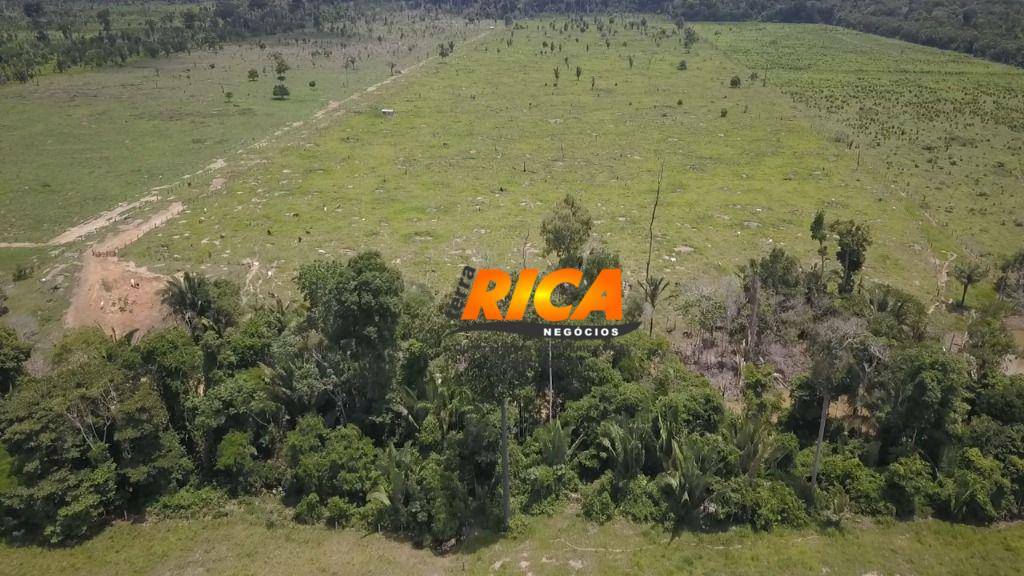 Sítio, 40 hectares - Foto 4