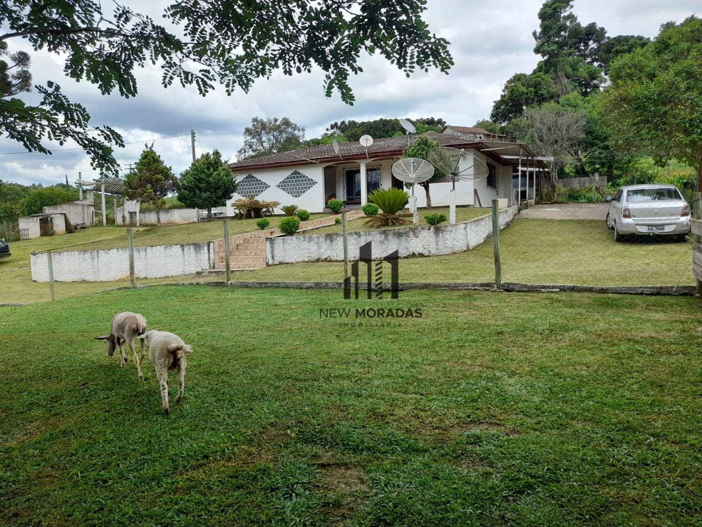 Chácara à venda com 2 quartos, 100m² - Foto 38