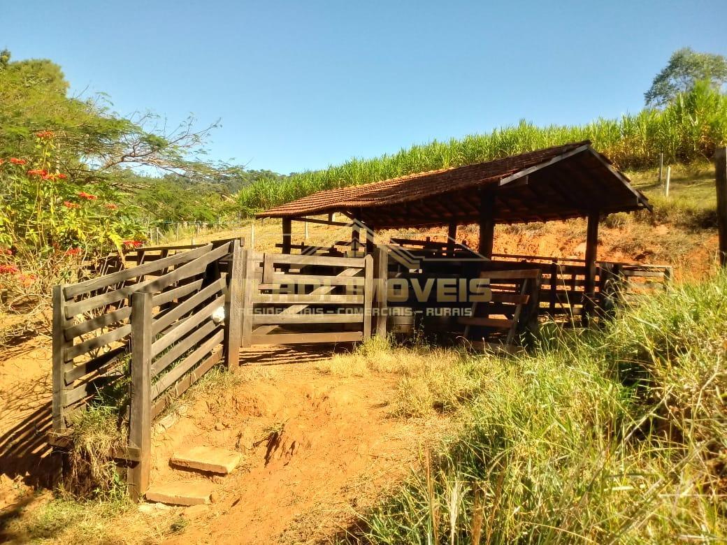 Fazenda à venda com 3 quartos, 25m² - Foto 15