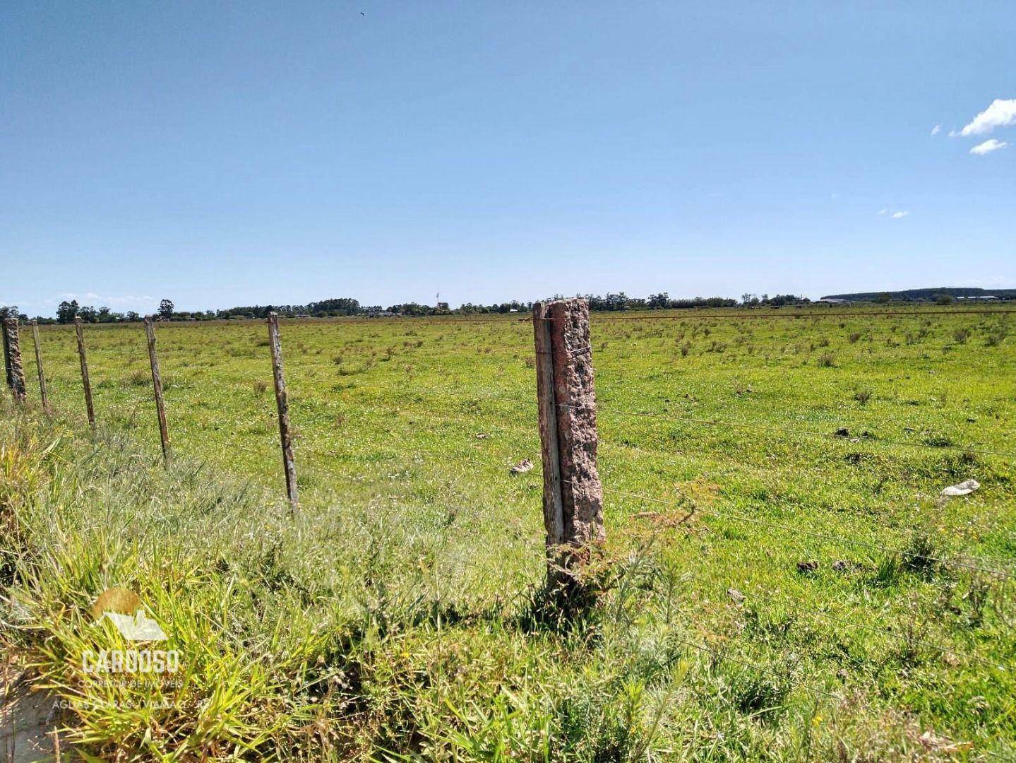 Fazenda à venda, 3160000M2 - Foto 22