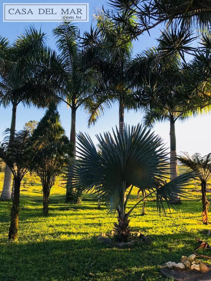 Fazenda à venda com 5 quartos, 160m² - Foto 31