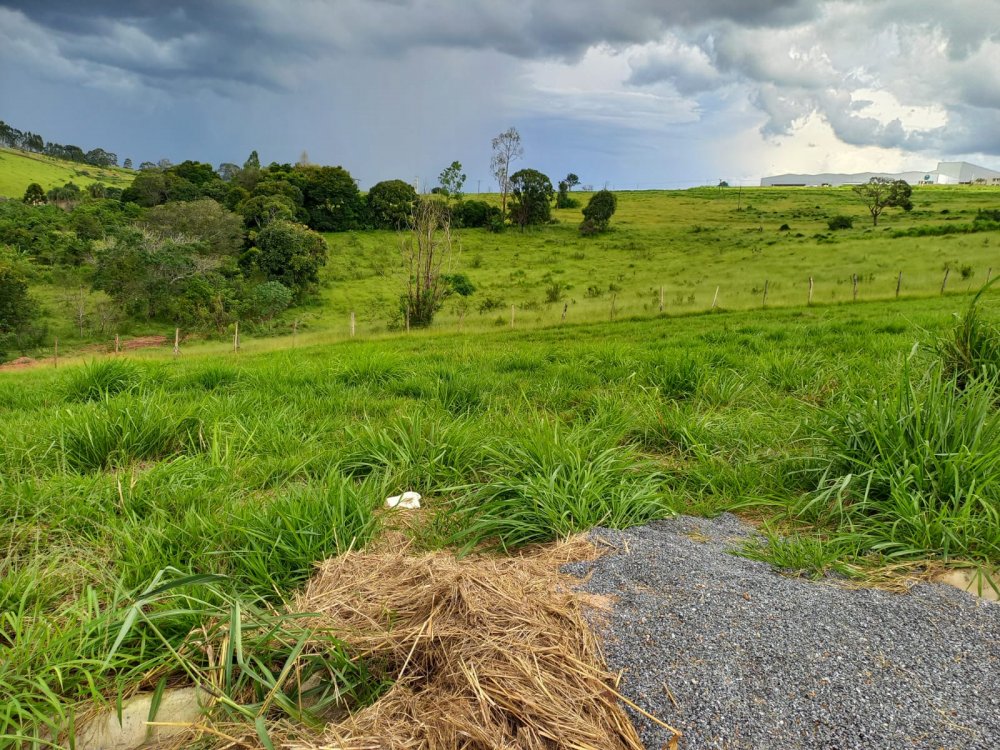 Terreno à venda, 250m² - Foto 3