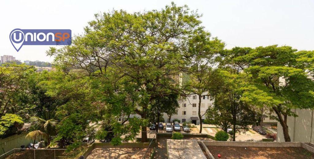 Apartamento à venda com 2 quartos, 54m² - Foto 13