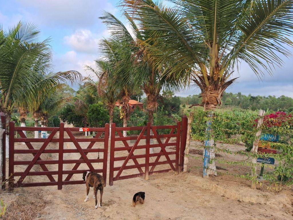 Chácara à venda com 2 quartos, 12000000M2 - Foto 20