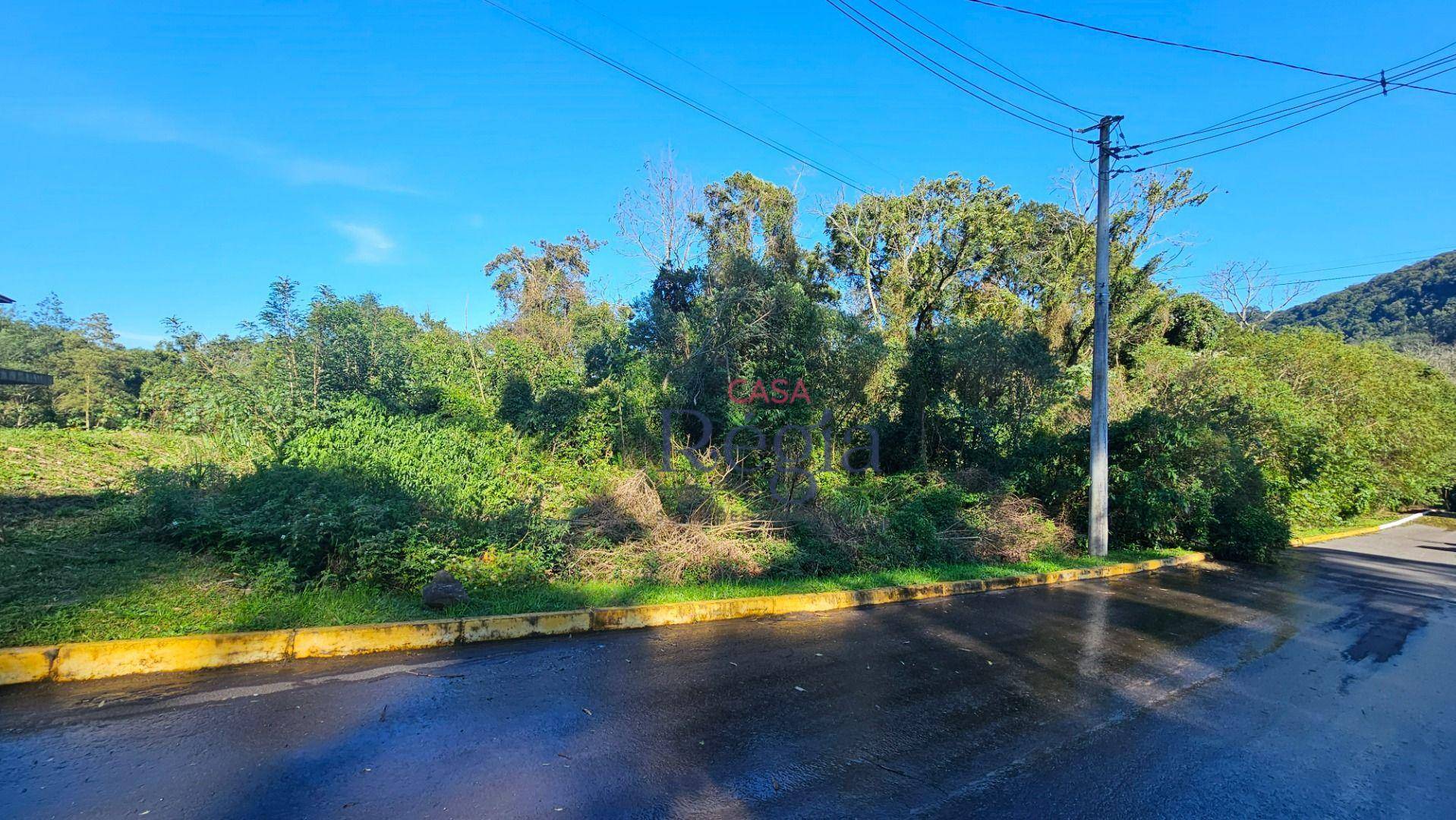 Terreno, 2912 m² - Foto 2