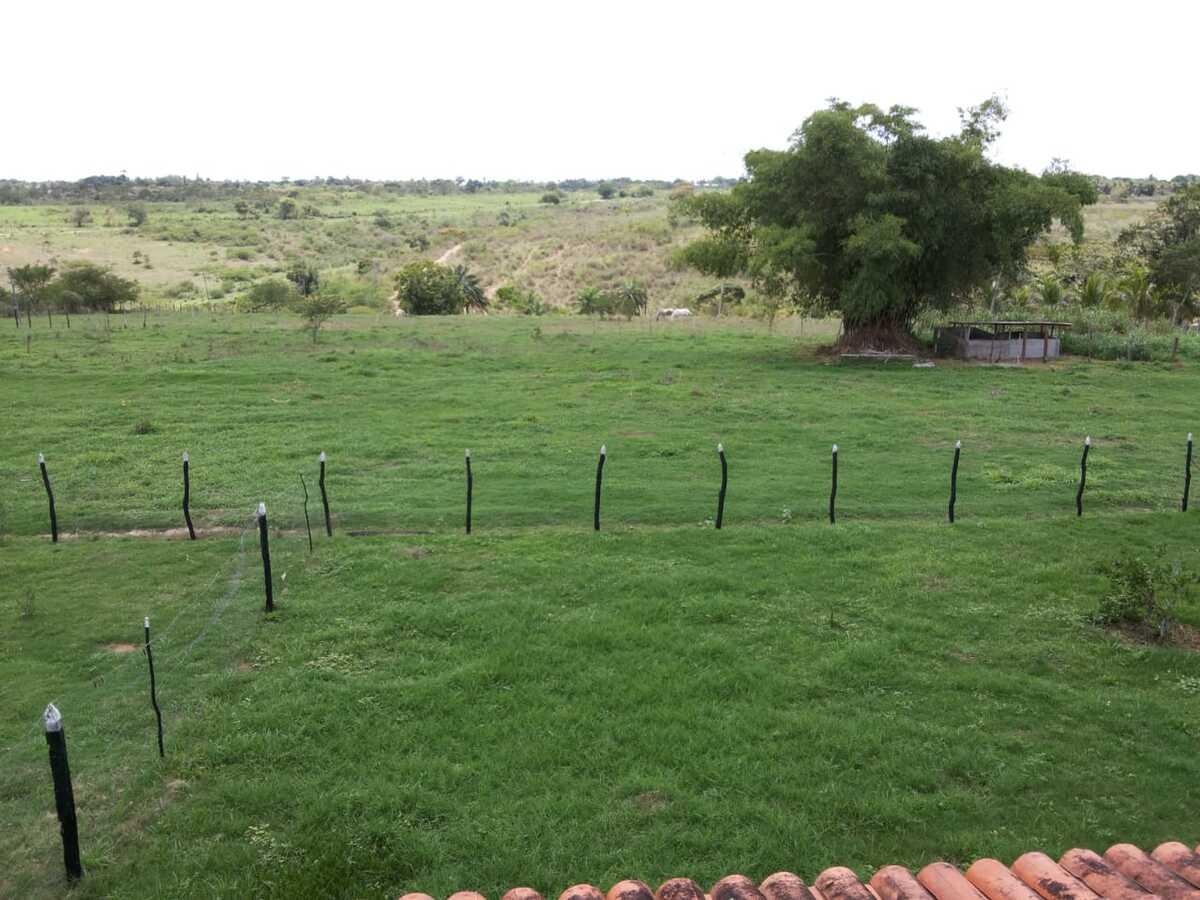 Fazenda à venda, 1000m² - Foto 30