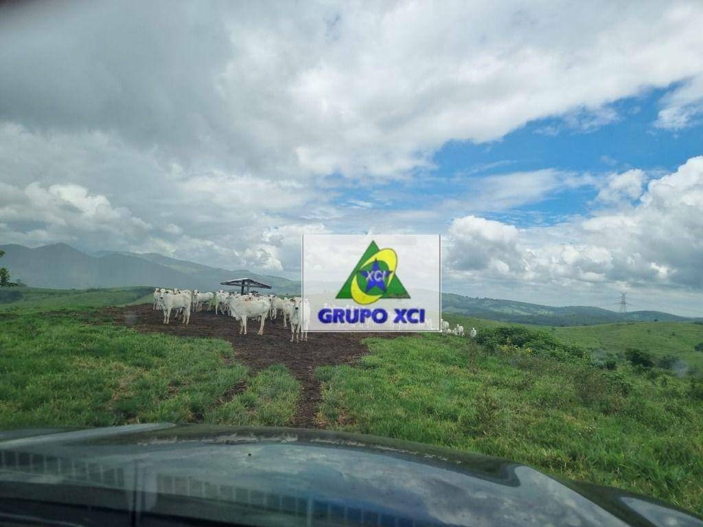 Fazenda-Sítio-Chácara, 250 hectares - Foto 1