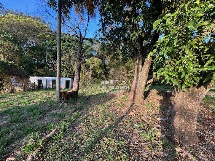 Chácara, 6 quartos, 3 hectares - Foto 8