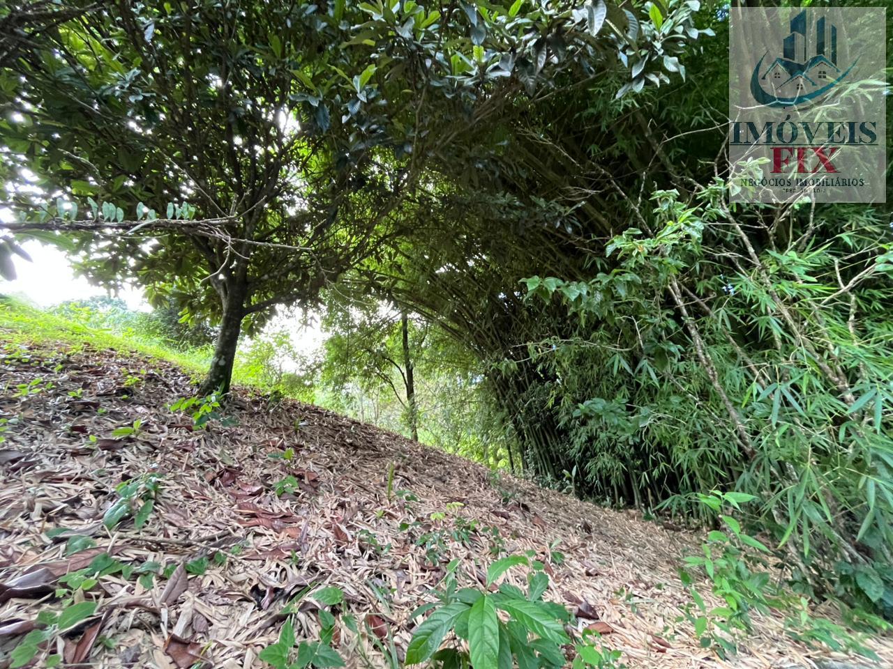 Fazenda à venda com 4 quartos, 200m² - Foto 33