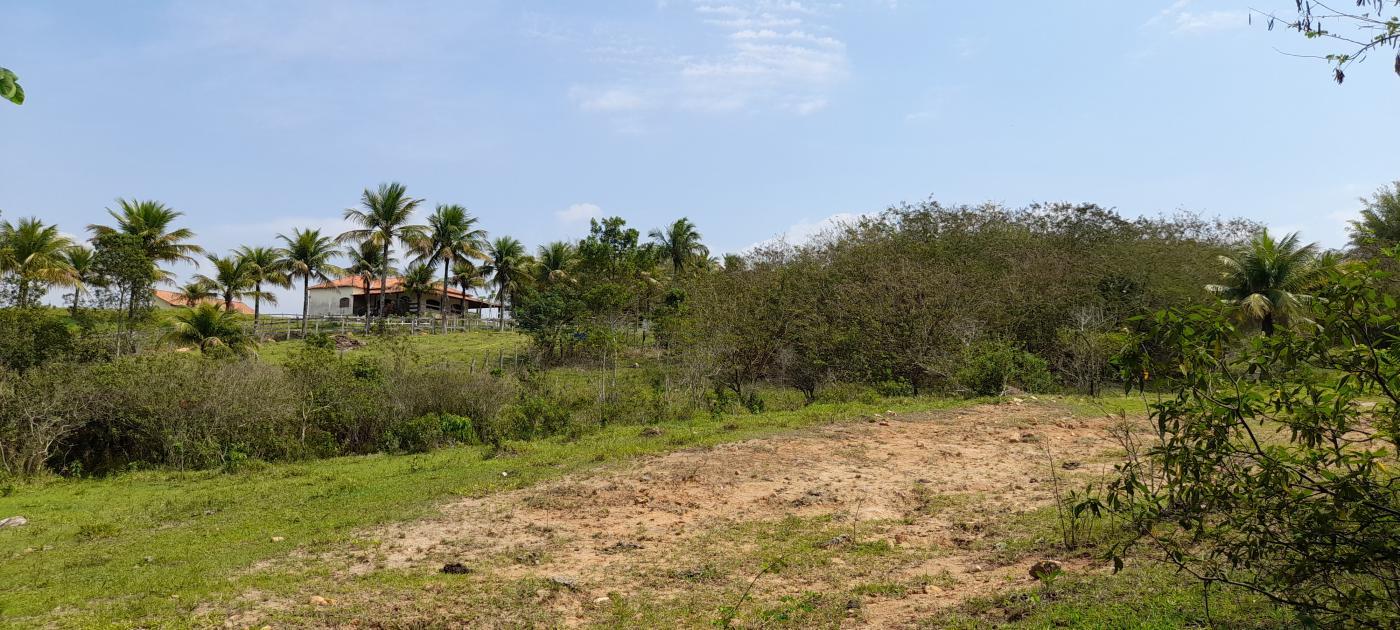 Fazenda à venda com 2 quartos, 20000m² - Foto 16