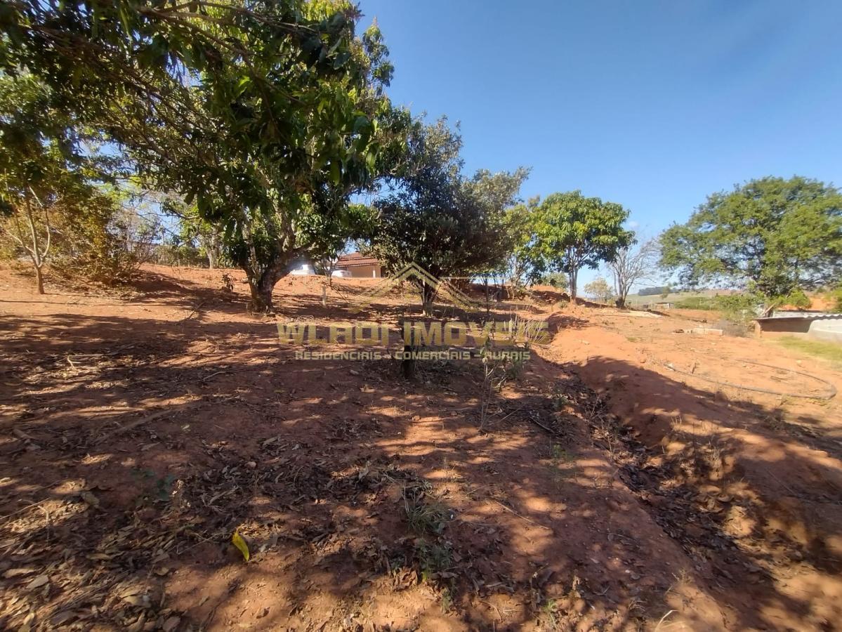 Fazenda à venda com 4 quartos, 4300m² - Foto 25