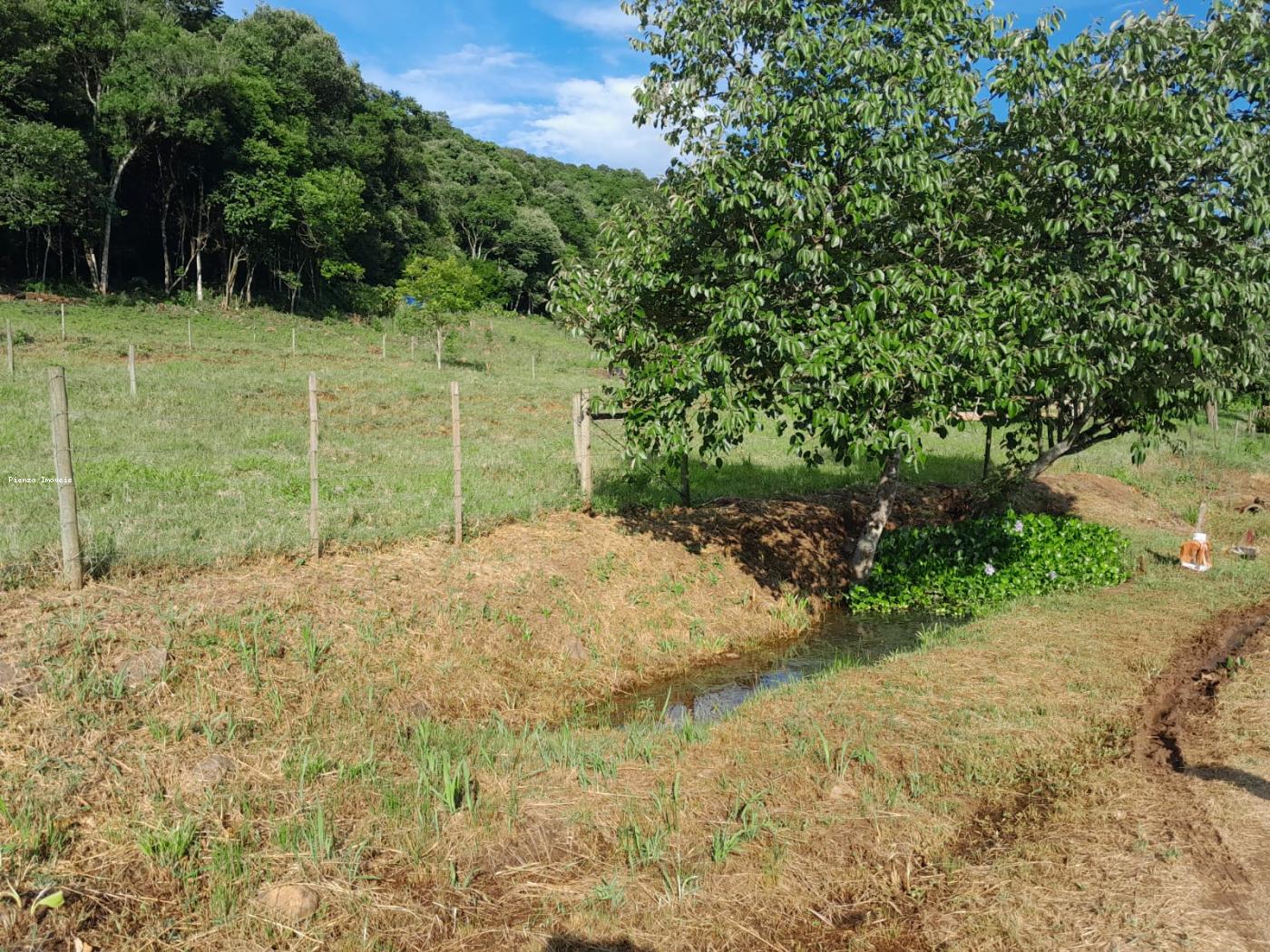 Terreno à venda, 40526m² - Foto 10