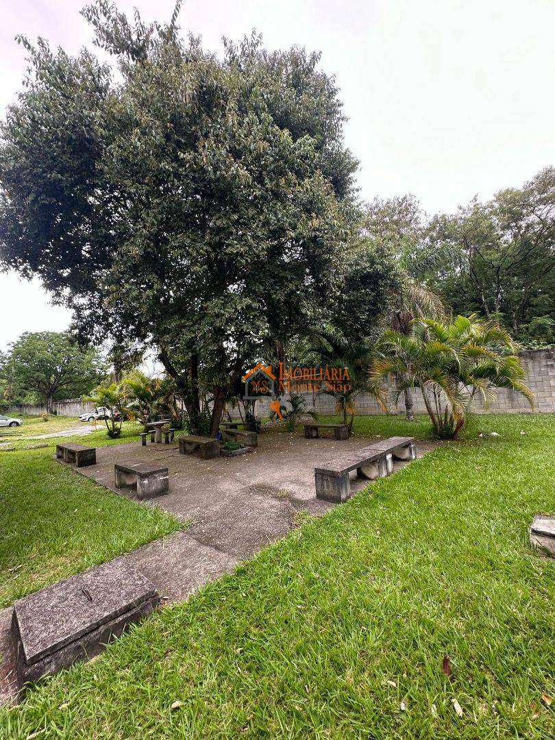 Apartamento à venda com 2 quartos, 55m² - Foto 20