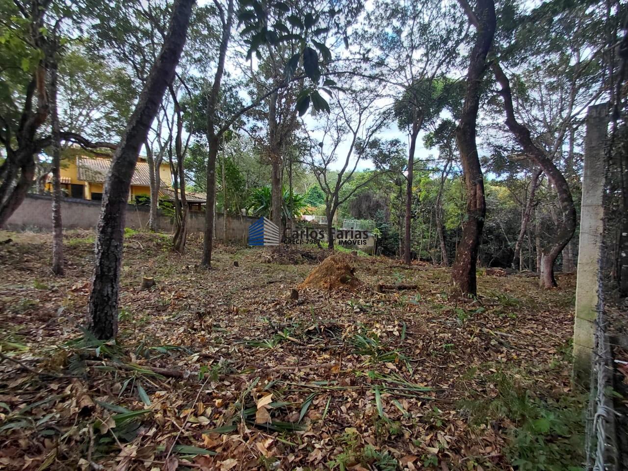 Terreno à venda, 1250m² - Foto 2