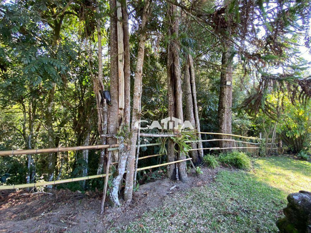 Sítio à venda com 3 quartos, 100m² - Foto 10