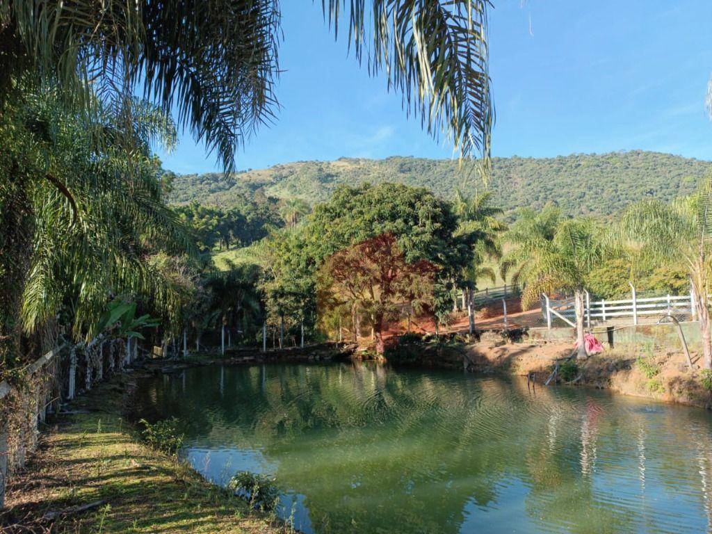 Sítio, 10 hectares - Foto 53