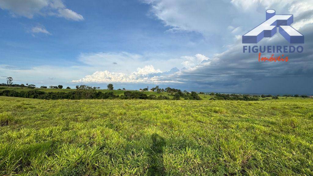 Terreno à venda, 257000M2 - Foto 2