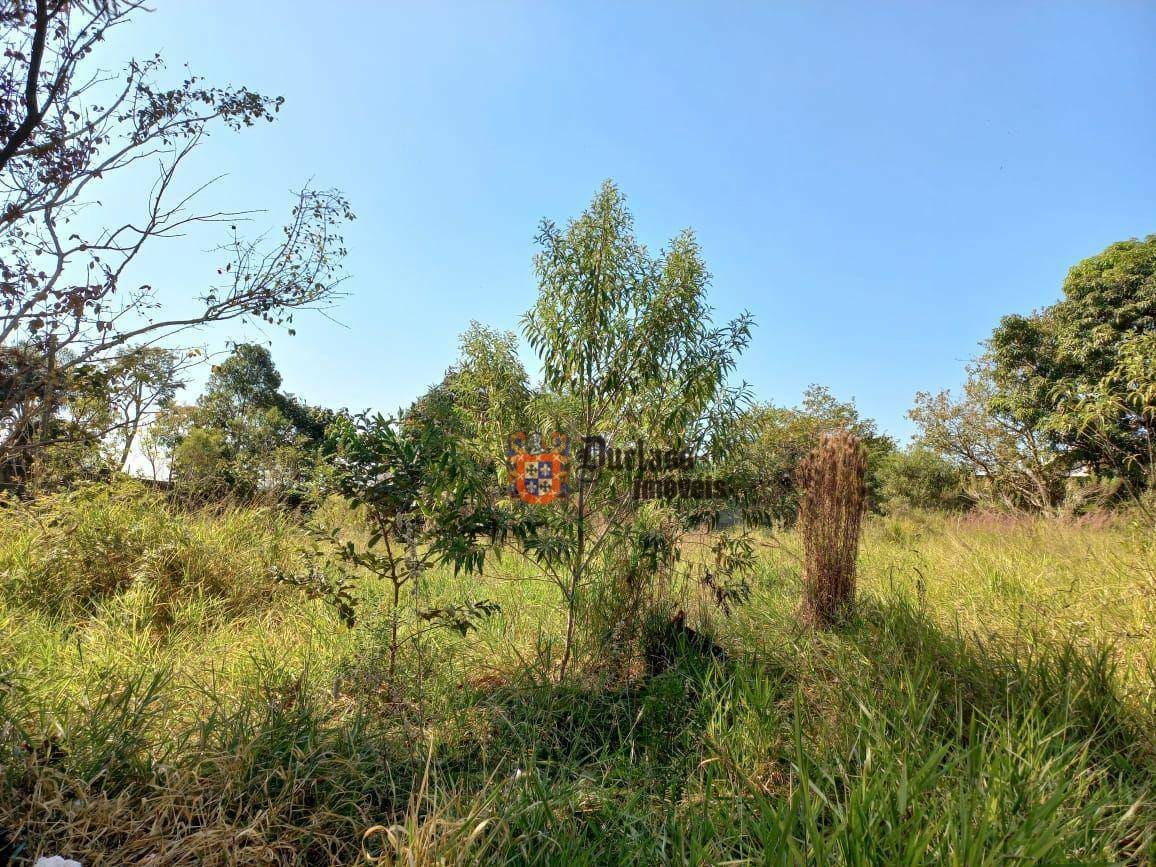 Loteamento e Condomínio à venda, 3753M2 - Foto 13