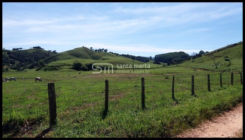 Fazenda à venda com 3 quartos, 300m² - Foto 8