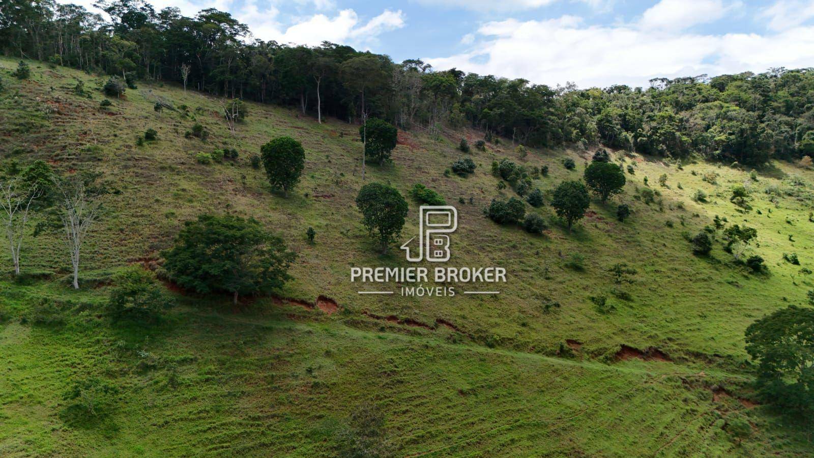 Fazenda à venda com 3 quartos, 250m² - Foto 34