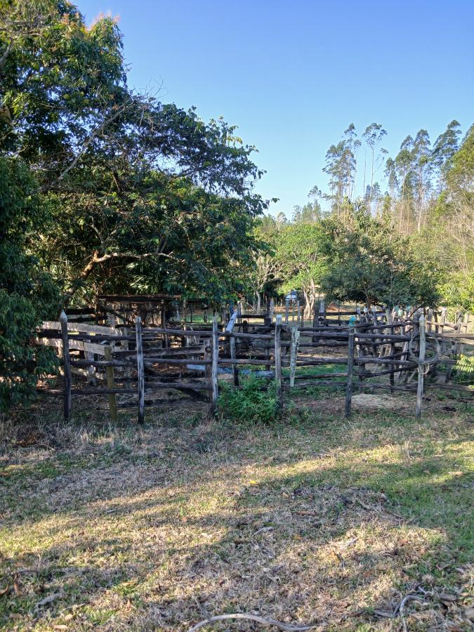 Fazenda à venda com 1 quarto, 96000m² - Foto 9