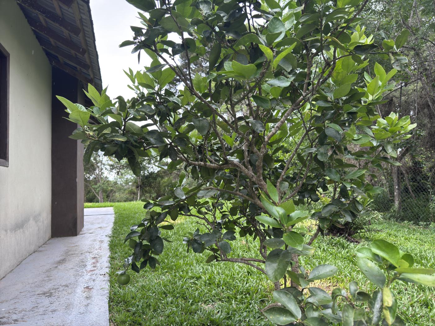 Chácara à venda com 4 quartos, 15000m² - Foto 39