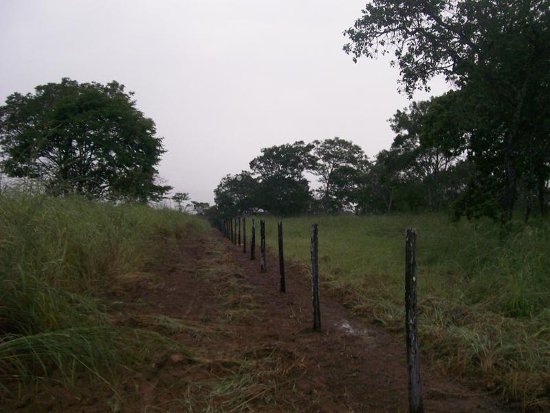 Fazenda à venda - Foto 22