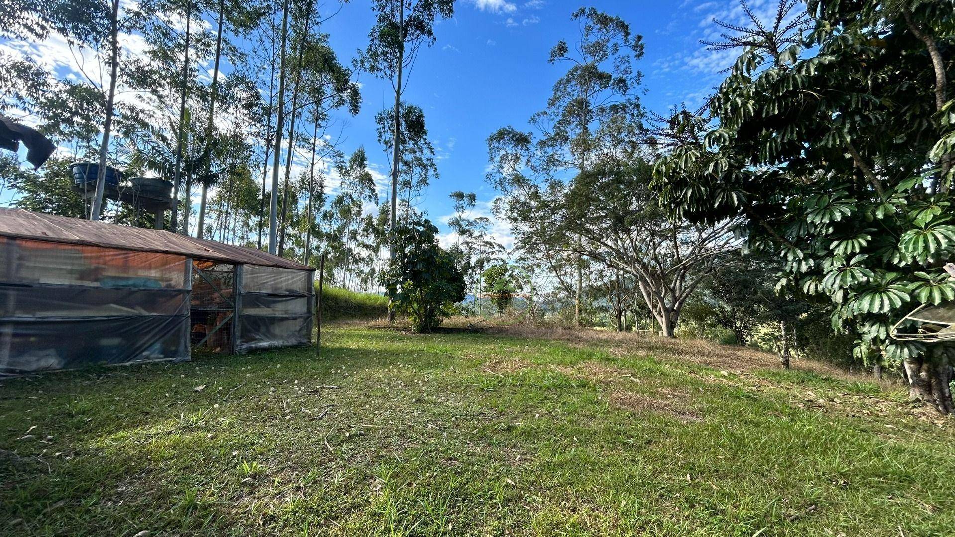 Sítio, 3 hectares - Foto 40