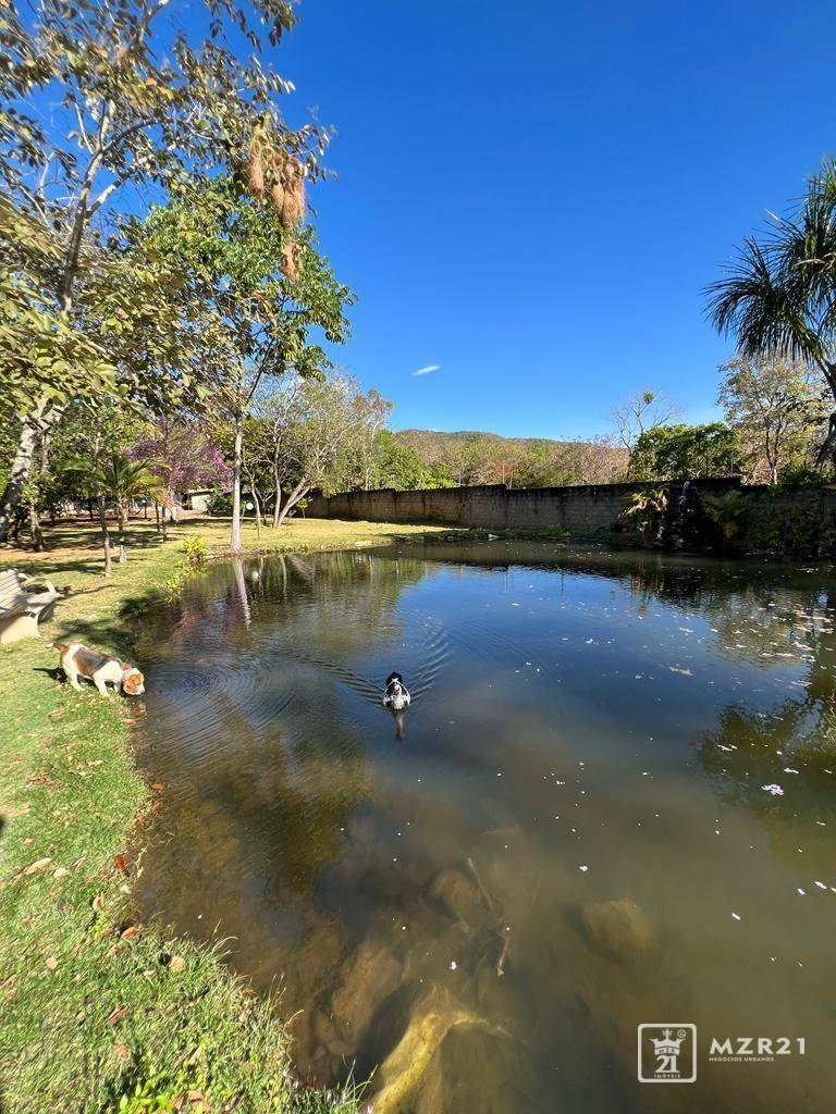 Chácara à venda com 4 quartos, 6000M2 - Foto 12