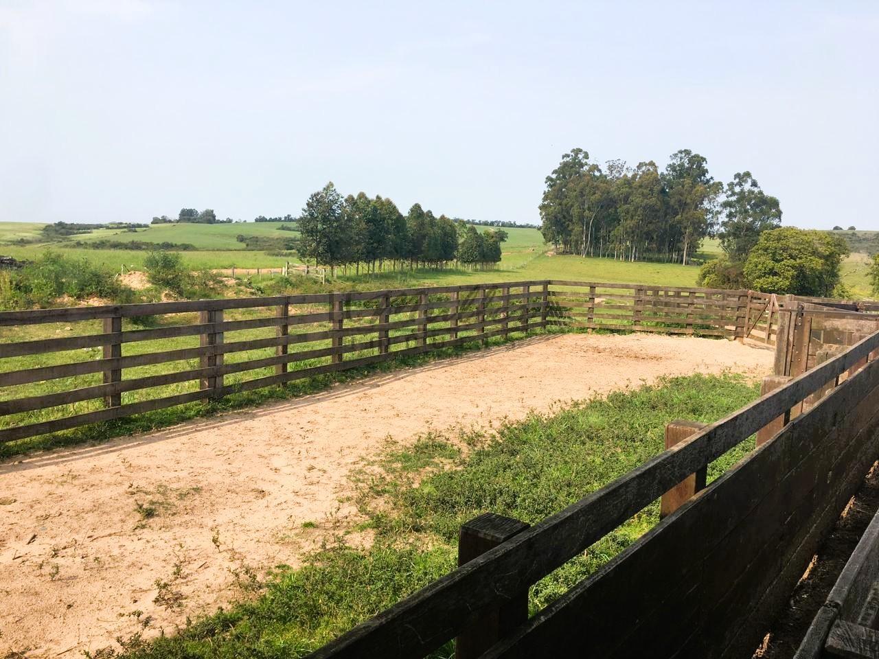 Fazenda à venda, 188m² - Foto 3