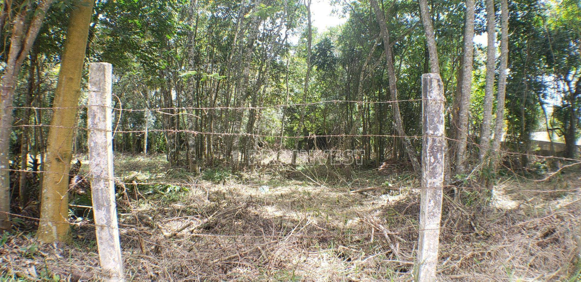 Loteamento e Condomínio à venda, 1000M2 - Foto 7