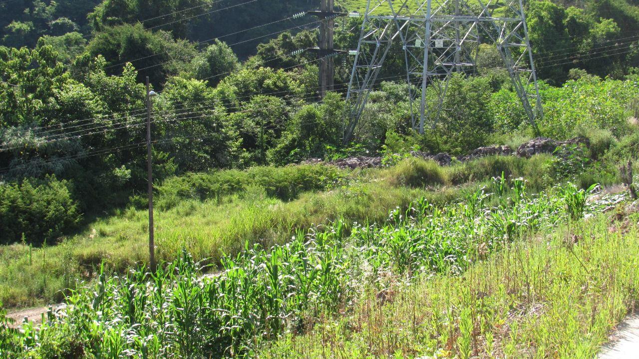 Terreno à venda, 490m² - Foto 6