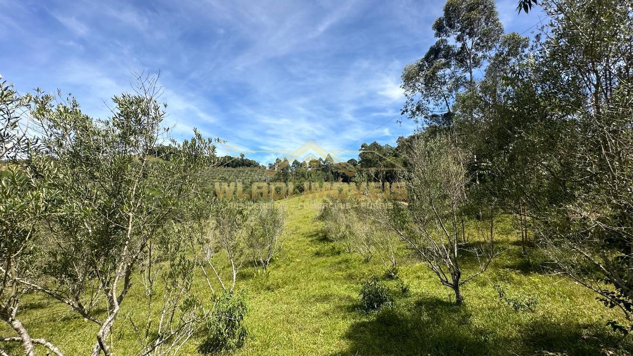 Fazenda à venda, 190000m² - Foto 8