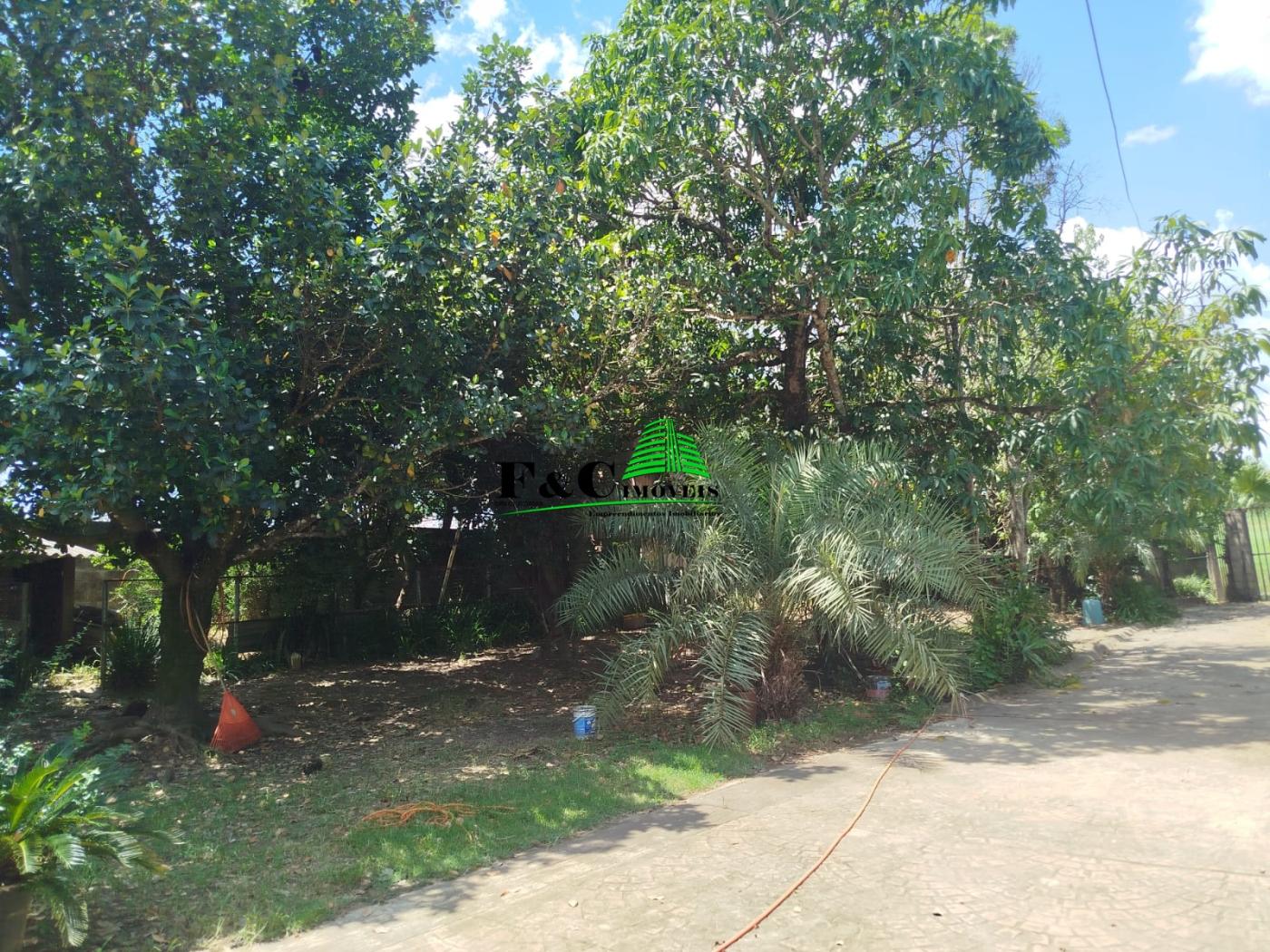 Chácara à venda com 4 quartos, 11200m² - Foto 17