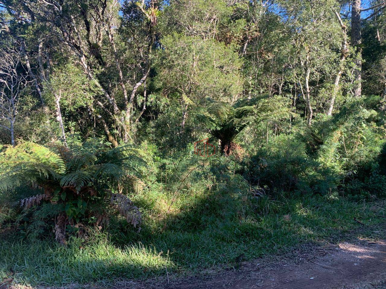 Loteamento e Condomínio à venda, 427M2 - Foto 6