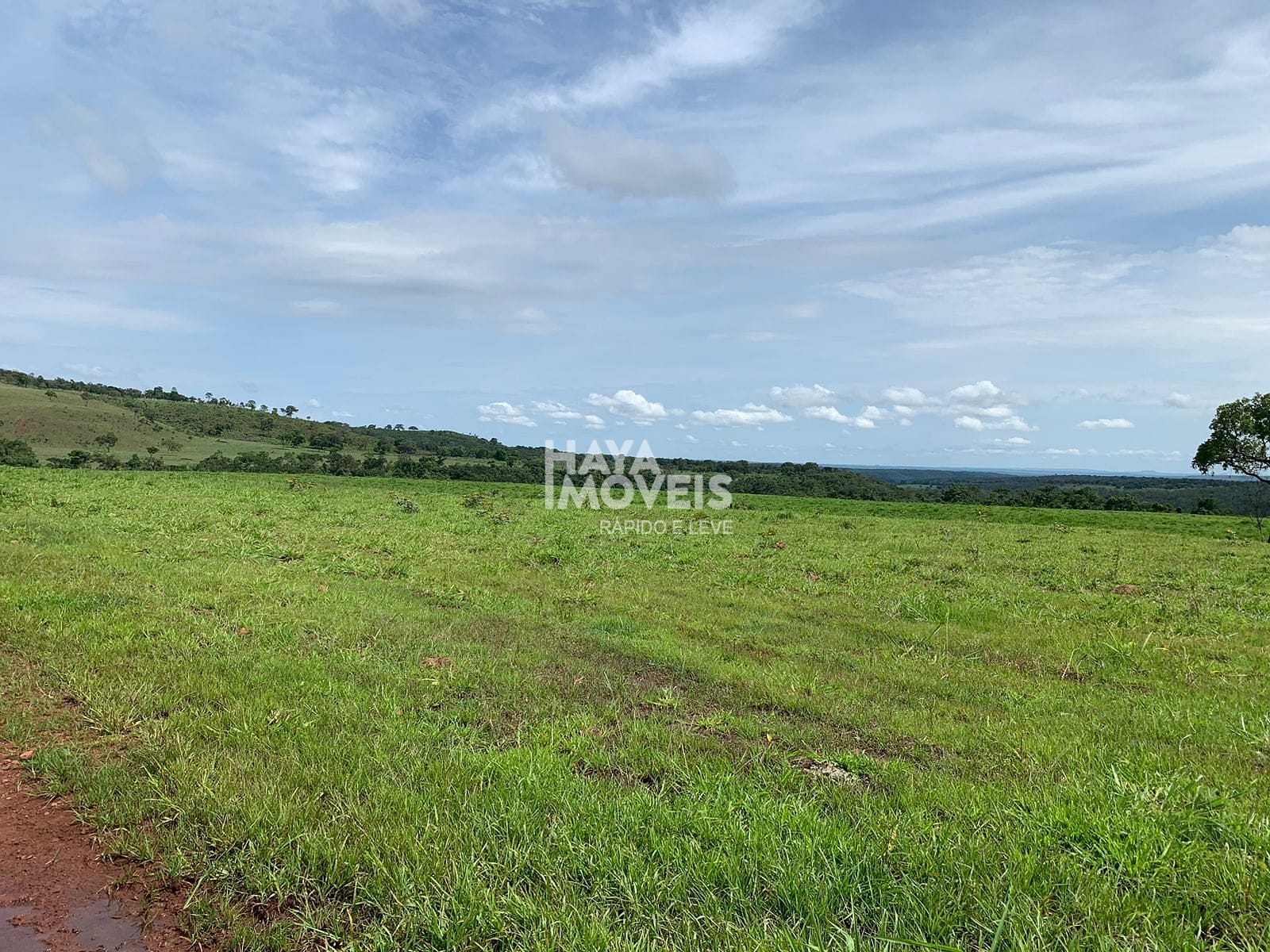 Fazenda-Sítio-Chácara, 113740 hectares - Foto 2