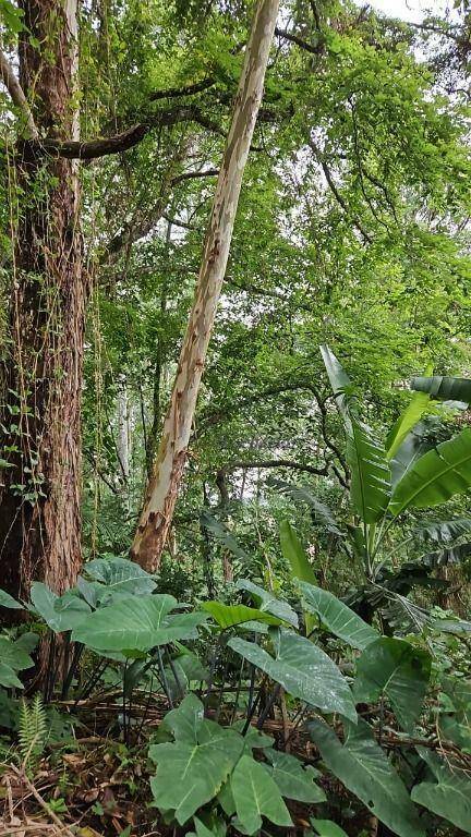 Loteamento e Condomínio à venda, 1448M2 - Foto 3