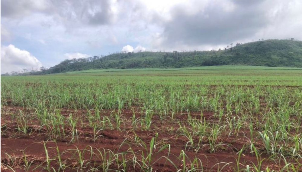 Fazenda-Sítio-Chácara, 1872 hectares - Foto 4