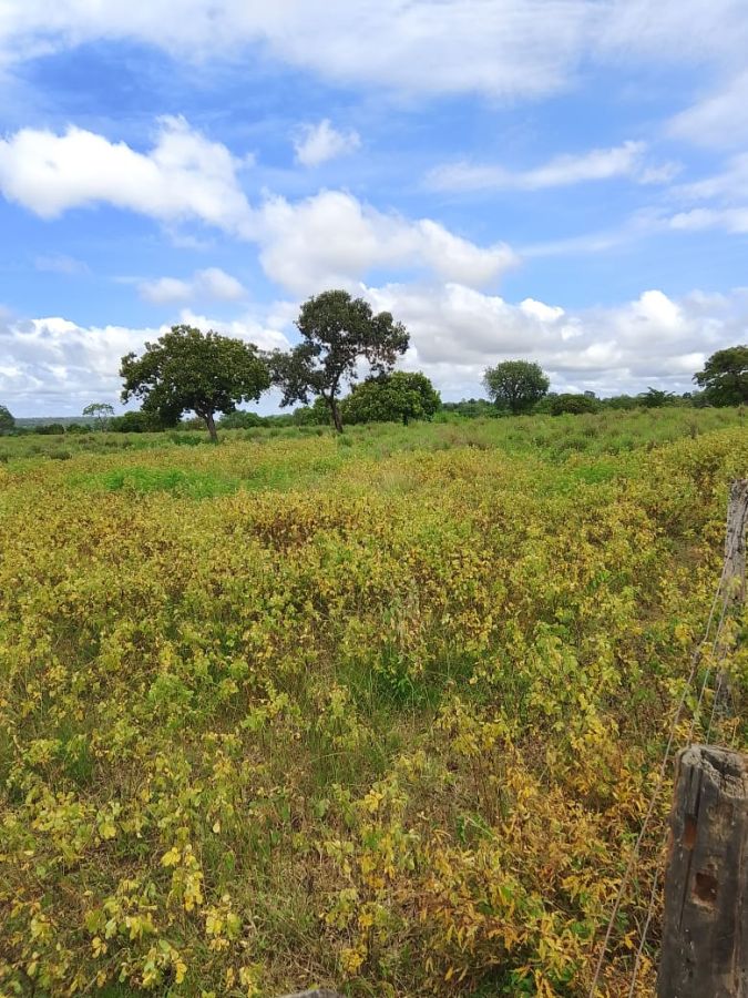 Fazenda à venda, 13068m² - Foto 1