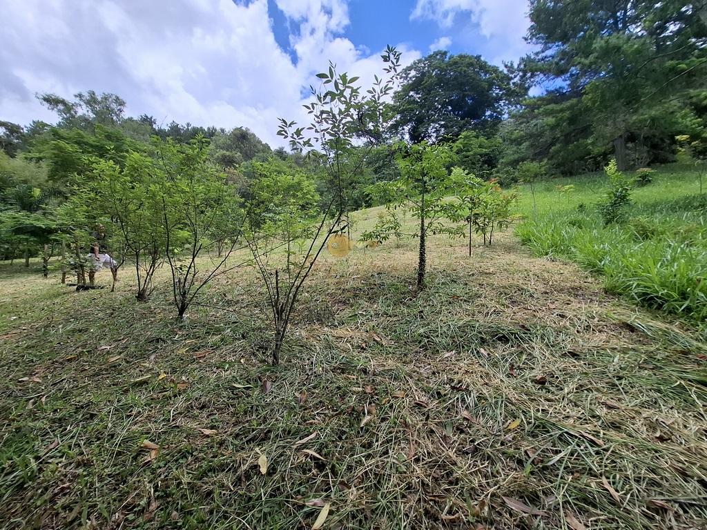 Fazenda à venda com 8 quartos, 52000m² - Foto 55