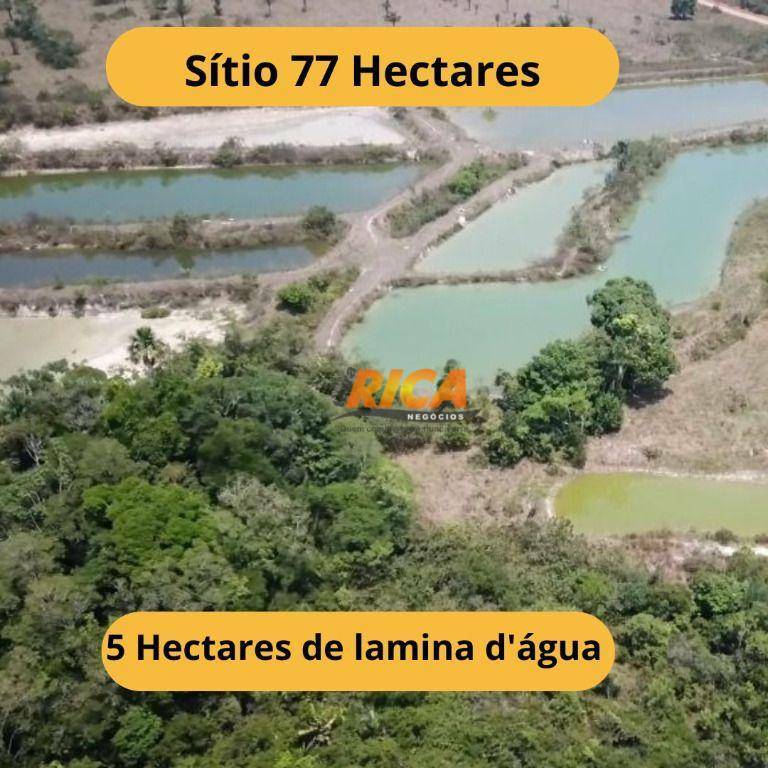 Sítio, 77 hectares - Foto 1