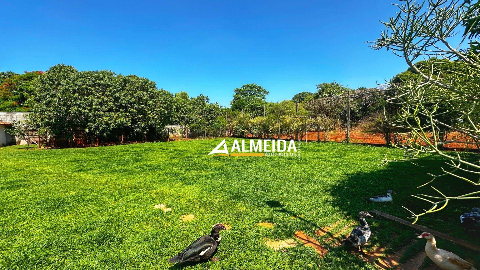 Chácara, 3 quartos - Foto 3