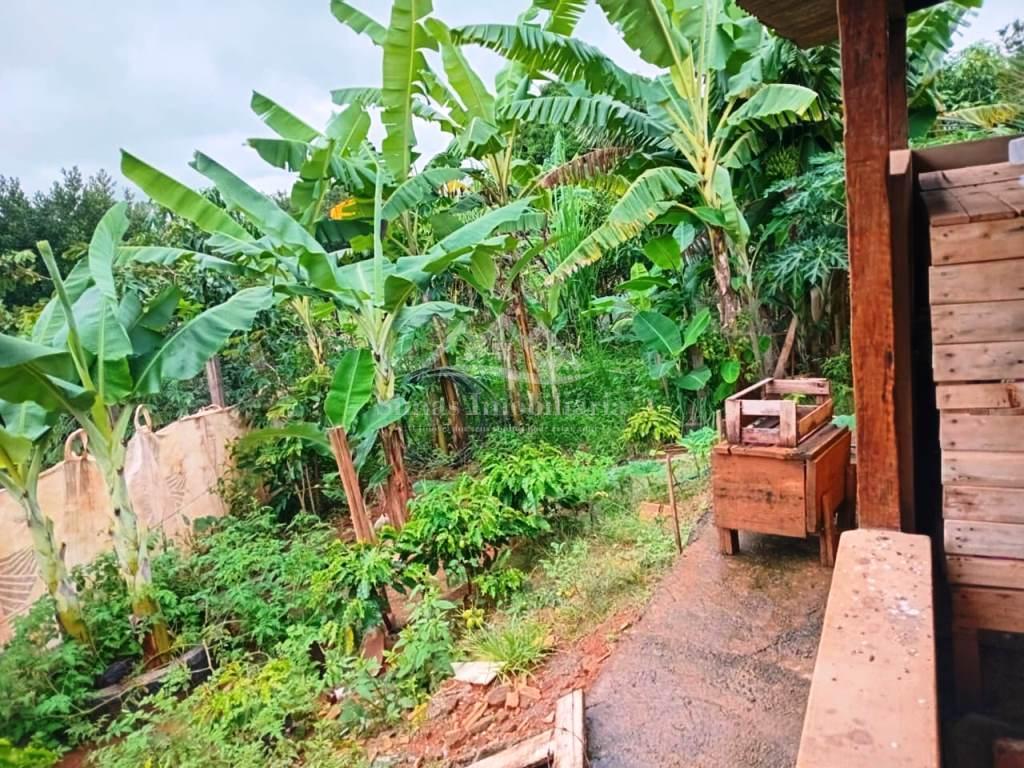 Fazenda à venda com 3 quartos, 1890m² - Foto 6