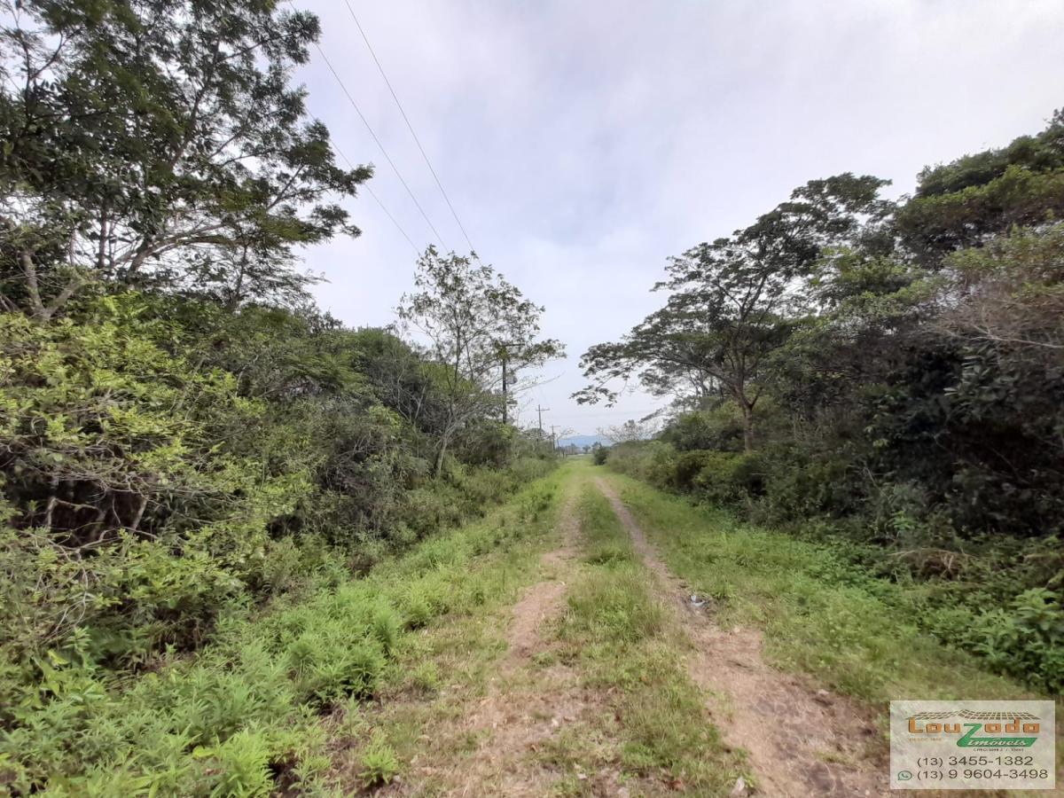 Terreno à venda, 250m² - Foto 3