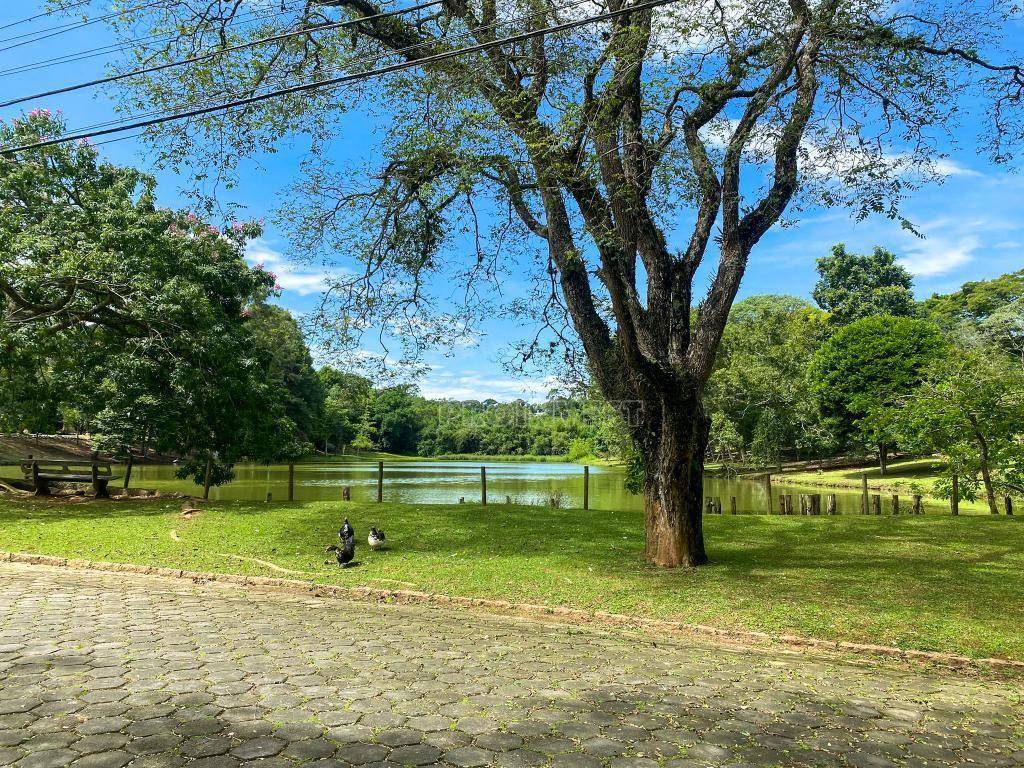Casa de Condomínio à venda e aluguel com 3 quartos, 250m² - Foto 29