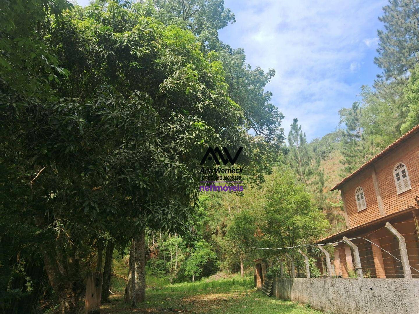 Sítio, 35 hectares - Foto 5