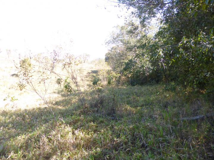 Fazenda à venda - Foto 6