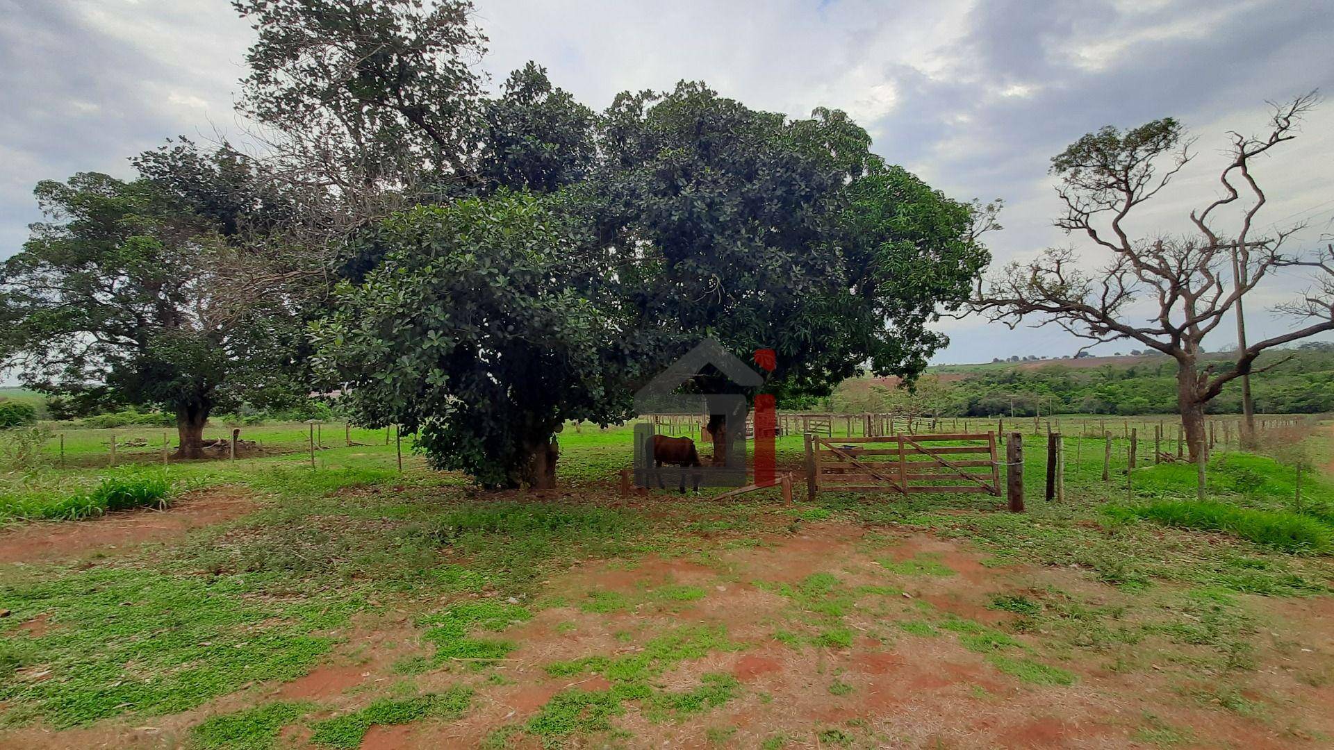 Sítio à venda, 186340M2 - Foto 1